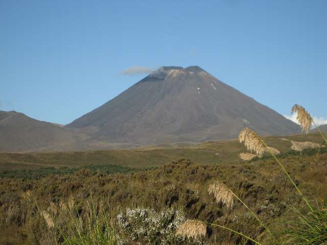 nz240.jpg