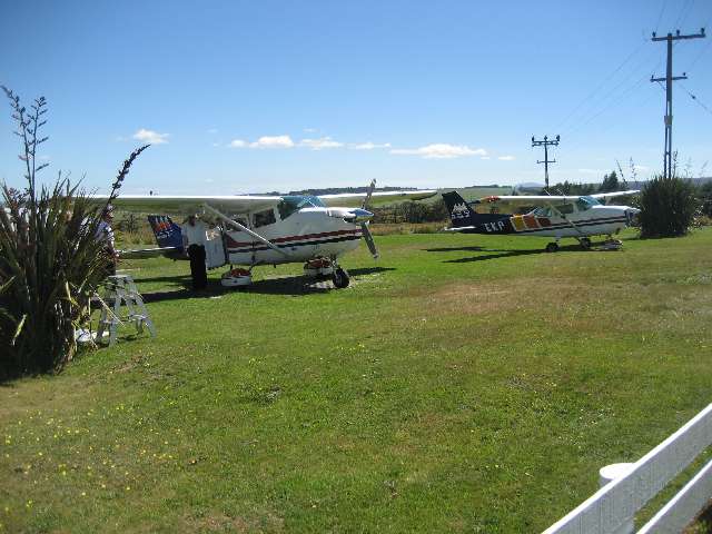 nz241.jpg