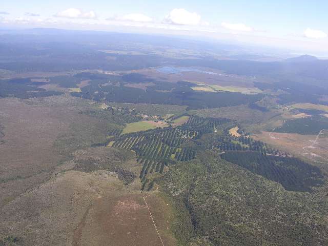 nz243.jpg