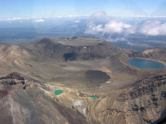 nz244.jpg