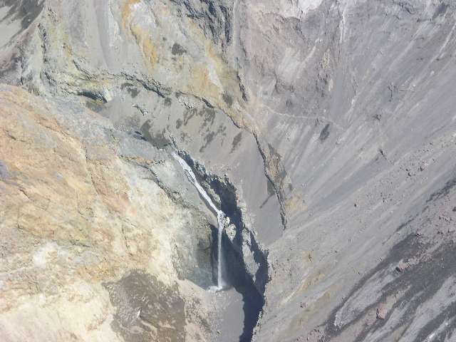 nz250.jpg