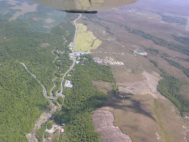 nz253.jpg