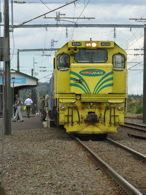 nz262.jpg