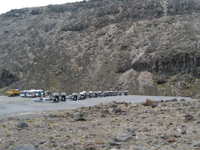 nz264.jpg