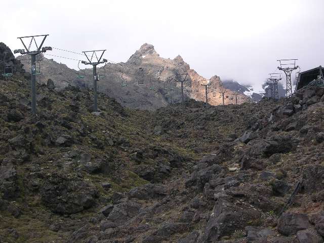 nz265.jpg