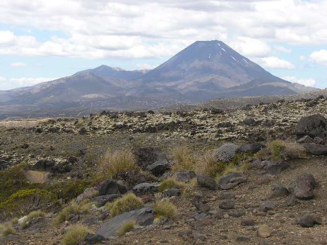 nz267.jpg