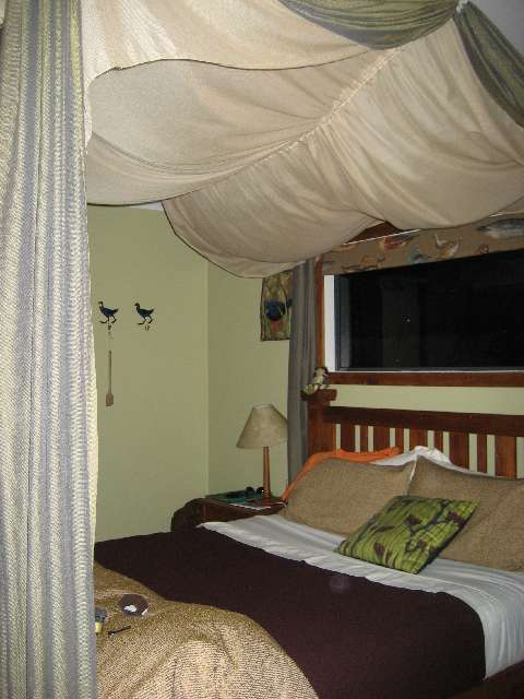 nz284.jpg
