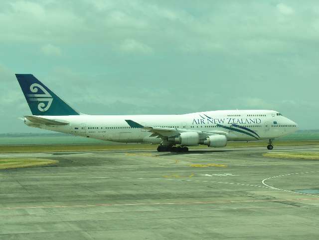 nz358.jpg