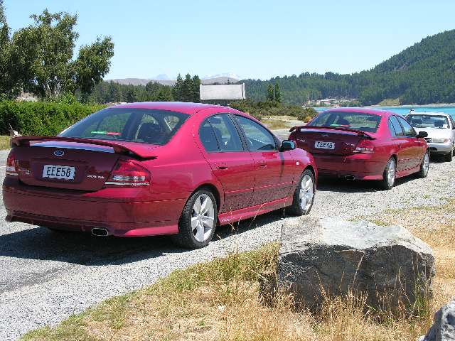 nz394.jpg
