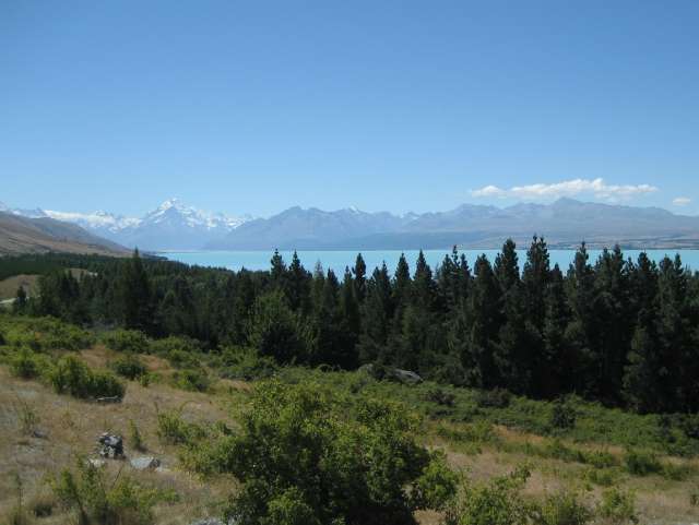 nz401.jpg