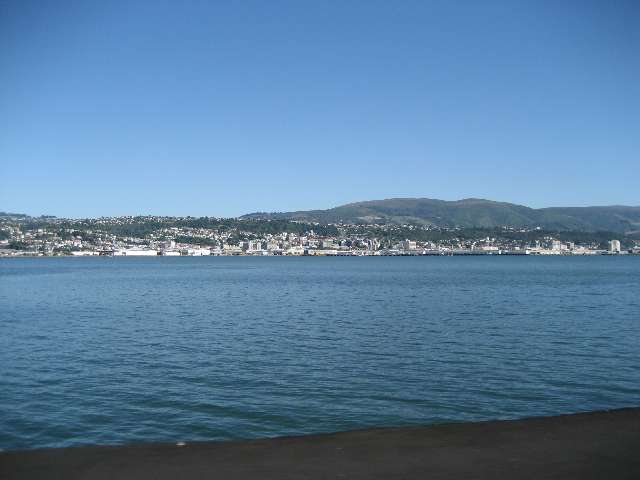 nz437.jpg