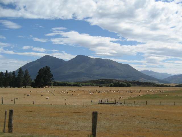 nz549.jpg