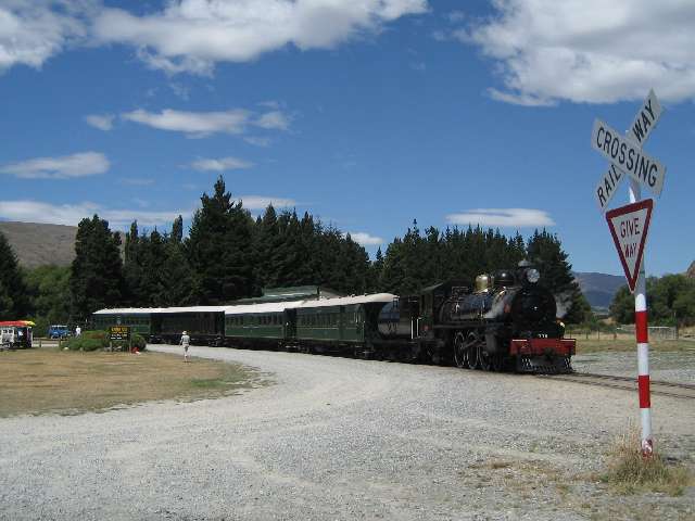 nz557.jpg