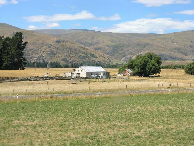 nz561.jpg
