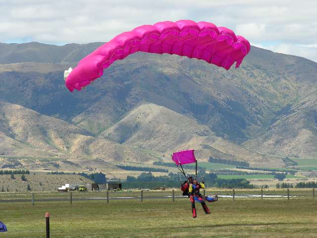 nz596.jpg
