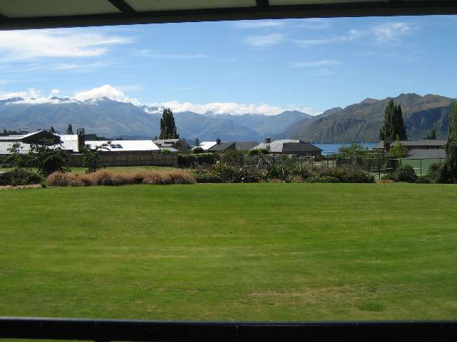 nz601.jpg