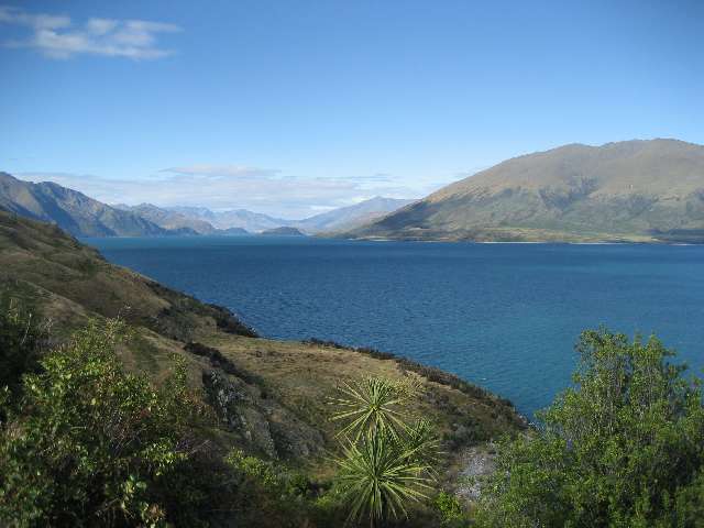nz608.jpg