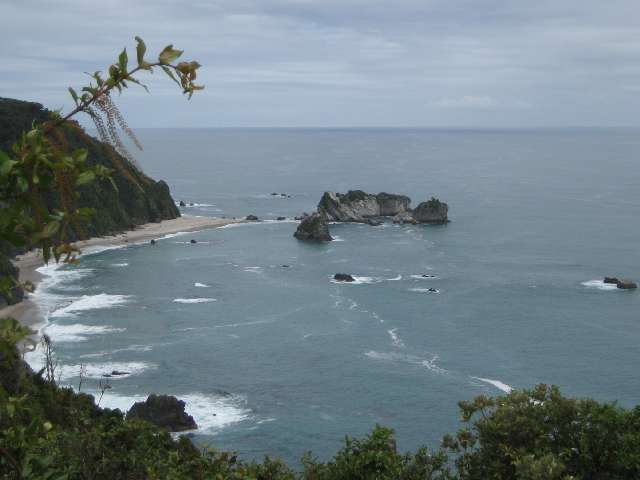 nz620.jpg