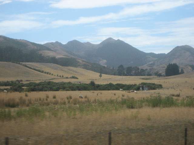 nz762.jpg