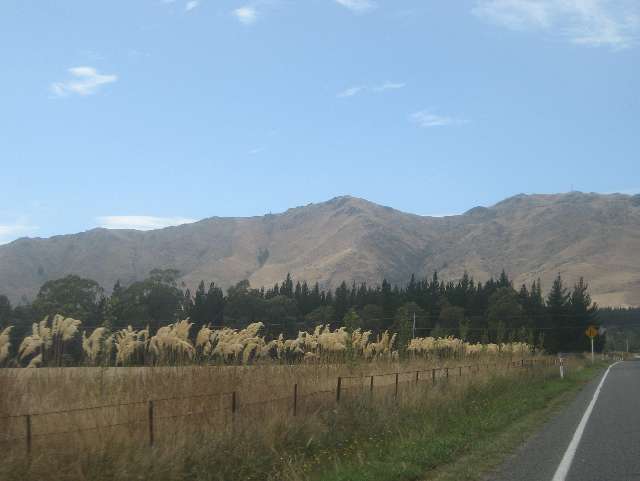 nz764.jpg