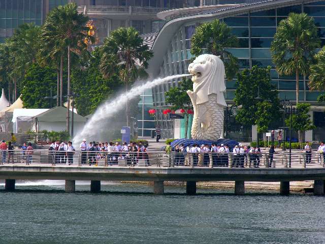 nz783.jpg