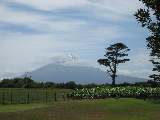 Seine Majest&auml;t, der Mount Taranaki