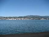 Dunedin