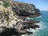 Taiaroa Heads auf Otago Peninsula