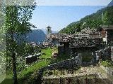 Landarenca
