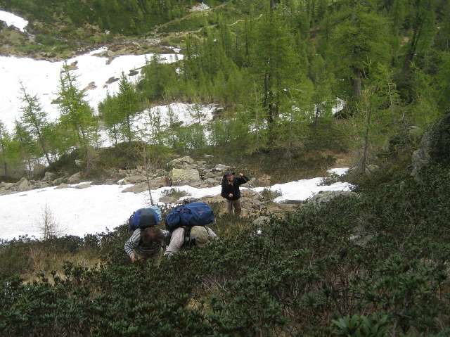 tic071.jpg