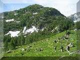 auf der Alpe di Sfii