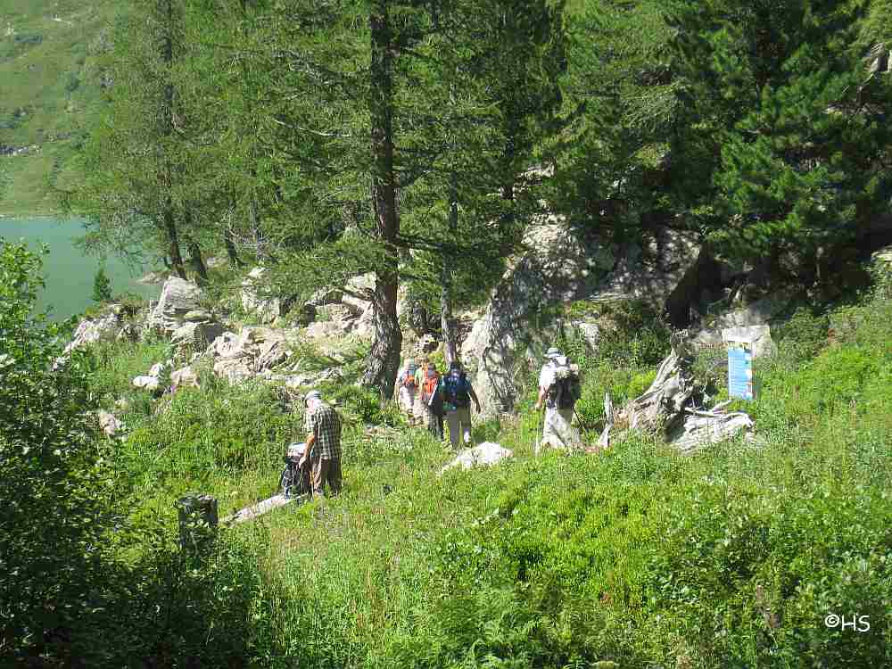 grei013.jpg