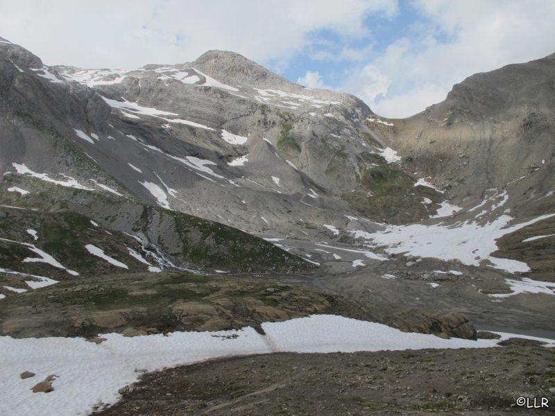 wild037.jpg