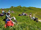 ...gibts Picknick
