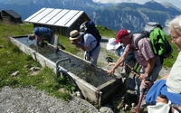 Feldiser Alp