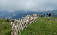 Stegelzaun