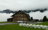 weisse Watte im Tal