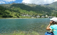 Isola